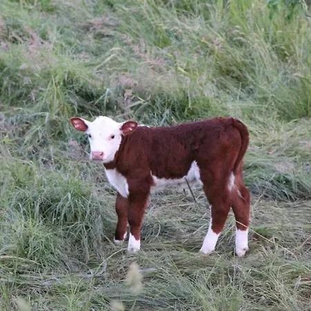 Stoertebeker Comfortable Middelhagen